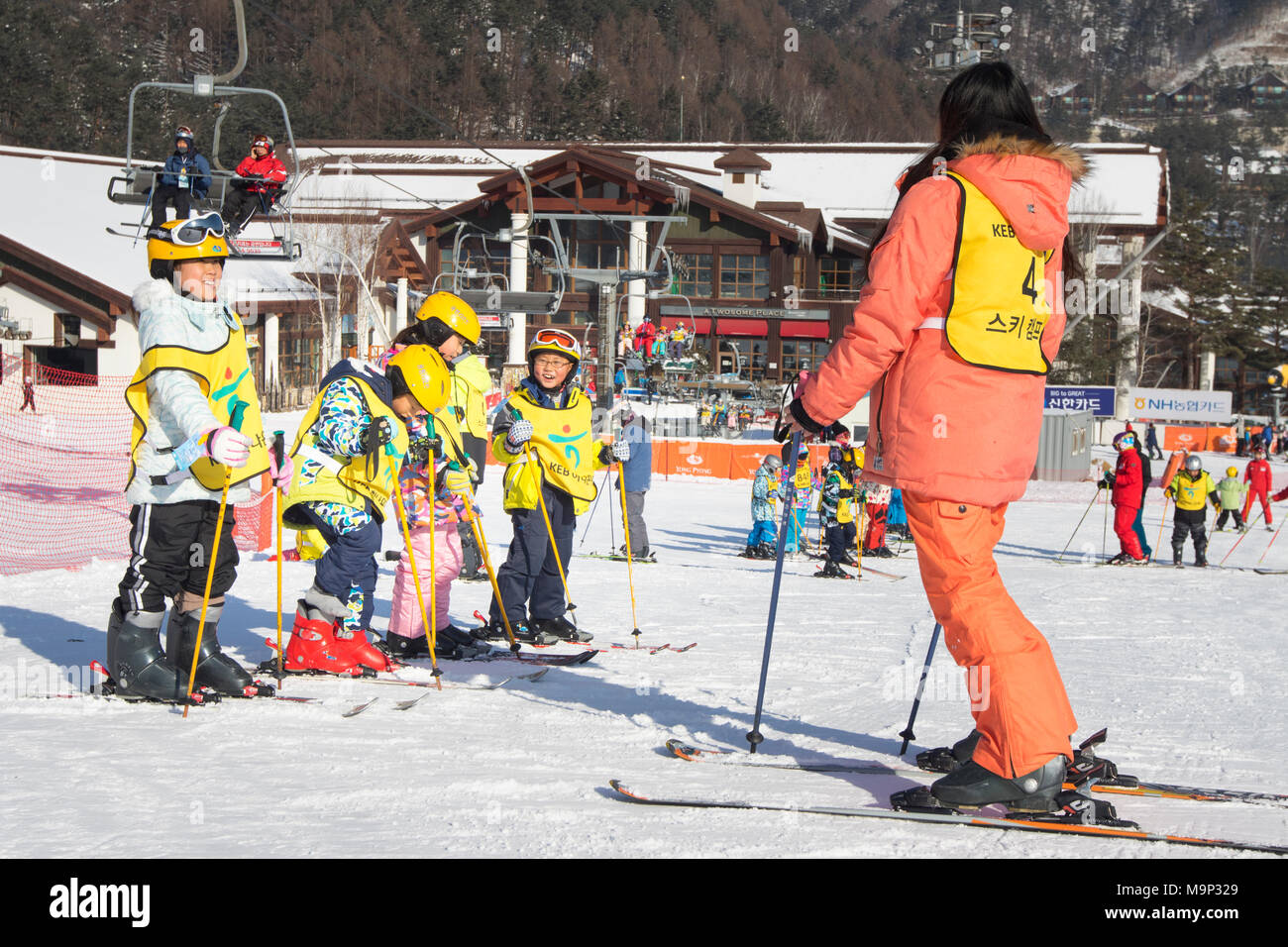 Ein Skilehrer und eine Gruppe von asiatischen Kindern an einem bunny Neigung von yongpyong. Das Yongpyong-resort (Dragon Valley) Ski Resort ist ein Skigebiet in Südkorea, in Daegwallyeong-myeon, Pyeongchang, Gangwon-do. Es ist die größte Ski- und Snowboard Resorts in Korea. Das Yongpyong-resort bewirten die technischen Ski alpin Veranstaltungen für die olympischen Winterspiele und Paralympics 2018 in Pyeongchang. Einige Szenen der 2002 Korean Broadcasting System drama Winter Sonata wurden im Resort gedreht. Stockfoto