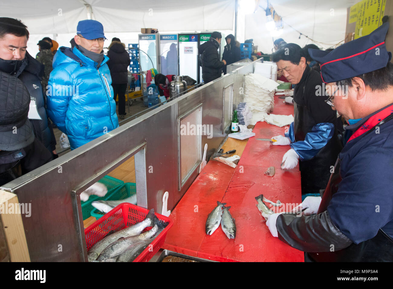 Männer sind zu warten, während ihre frisch gefangenen Fisch zubereitet wird. Die Hwacheon Sancheoneo Ice Festival ist eine Tradition für die Menschen in Korea. Jedes Jahr im Januar Menschenmassen versammeln sich auf dem zugefrorenen Fluss der Kälte und dem Schnee des Winters zu feiern. Hauptattraktion ist Eisfischen. Jung und Alt warten geduldig auf ein kleines Loch im Eis für eine Forelle zu beißen. In zelten Sie können den Fisch vom Grill, nach dem sie gegessen werden. Unter anderem sind Rodeln und Eislaufen. Die in der Nähe Pyeongchang Region wird Gastgeber der Olympischen Winterspiele im Februar 2018. Stockfoto