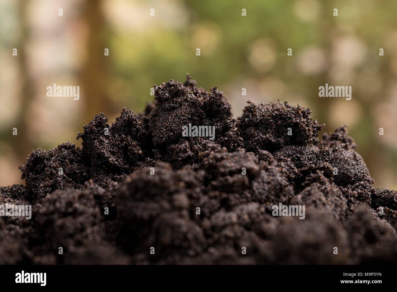 Alberta Ölsand, die im Sand unter die Erde ￢ ﾀﾙs Oberfläche eingeschlossen ist. Stockfoto