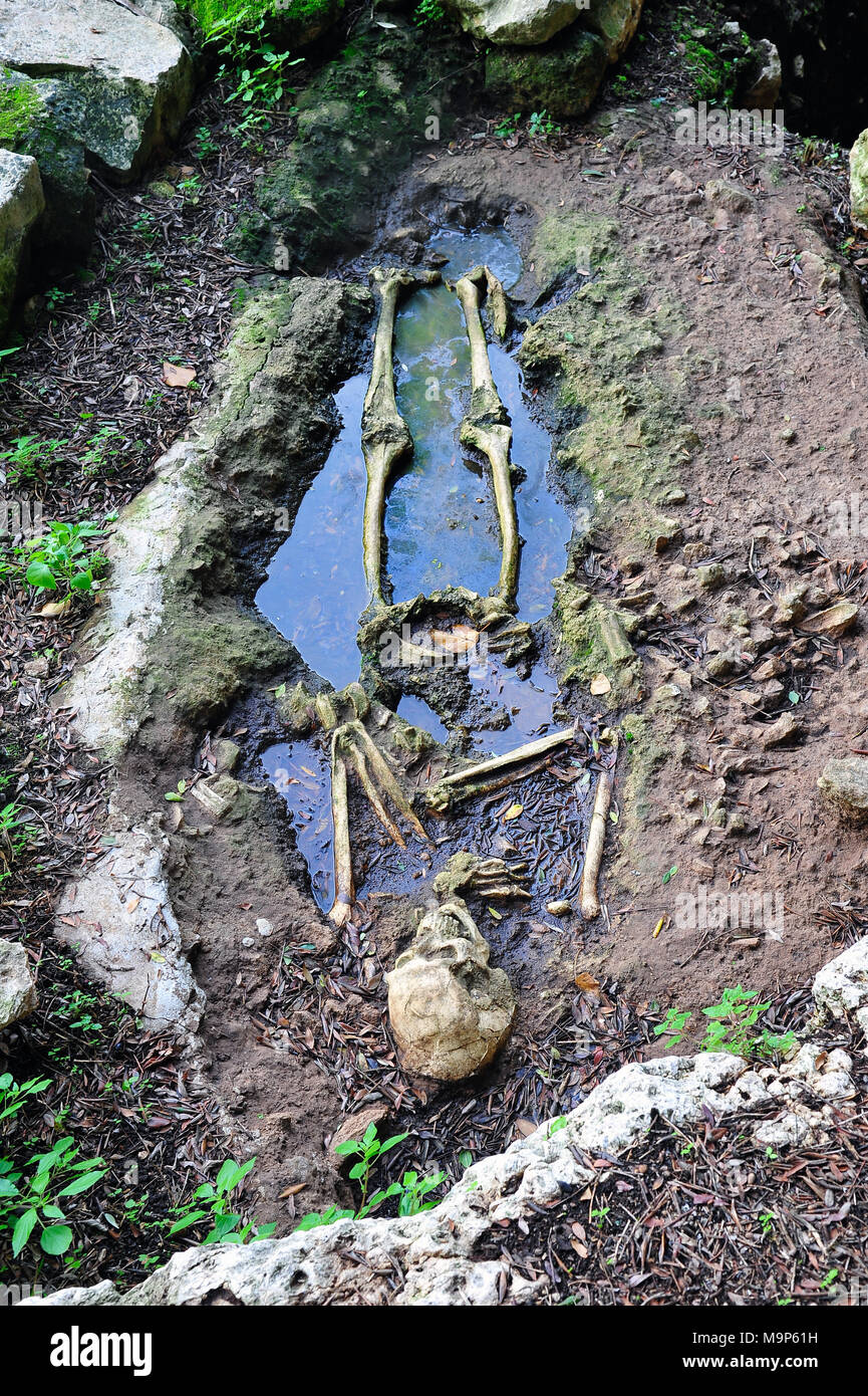 Mittelalterliche Skelett, Parco Archeologico e Naturale di Santa Maria, archäologischer Park, in der Nähe von Ostunii, Italien Stockfoto