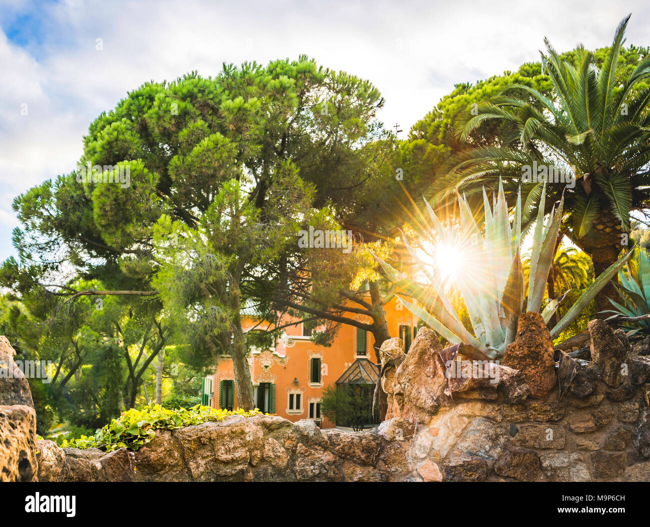 Agave im Gegenlicht, Solar Reflex, Casa-Museu Gaudí, Museum Gaudi-Haus, Park Güell, Barcelona, Katalonien, Spanien Stockfoto