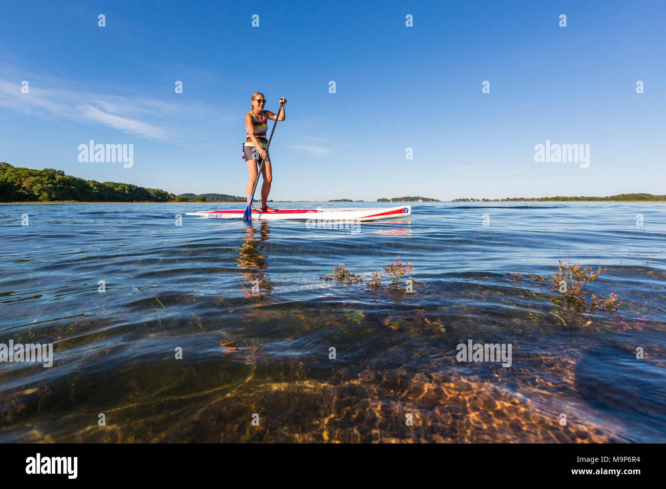 Frau stehend Paddle Boarding auf Essex River bei Cox Reservierung, Essex, Massachusetts Stockfoto