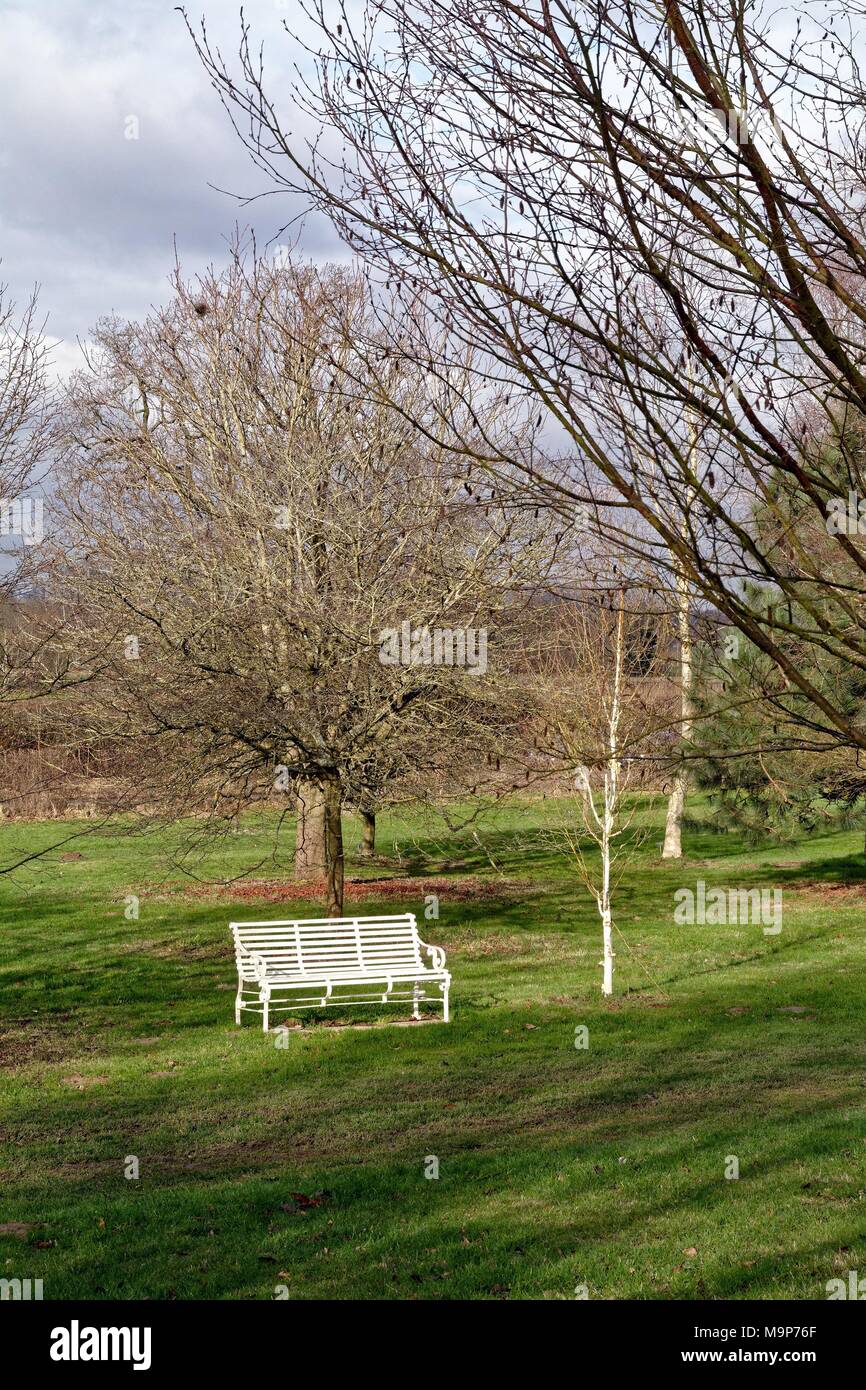 Leeres weißes Metall Bank in einer Parklandschaft umgeben von Bäumen im Winter, Wisley Surrey UK Stockfoto