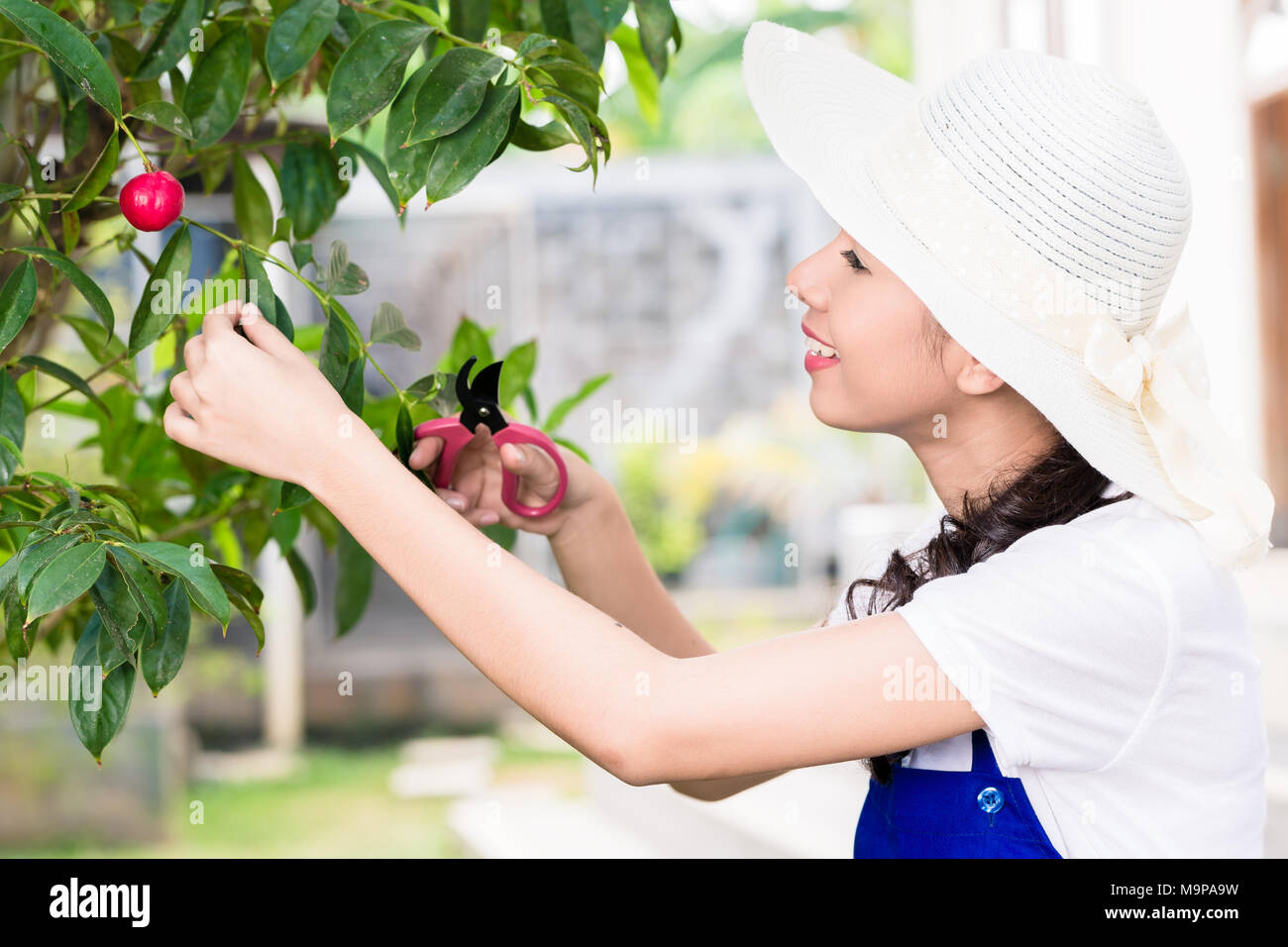 Seitenansicht Portrait von jungen asiatischen Frau Beschneidung angebaute Obst Stockfoto