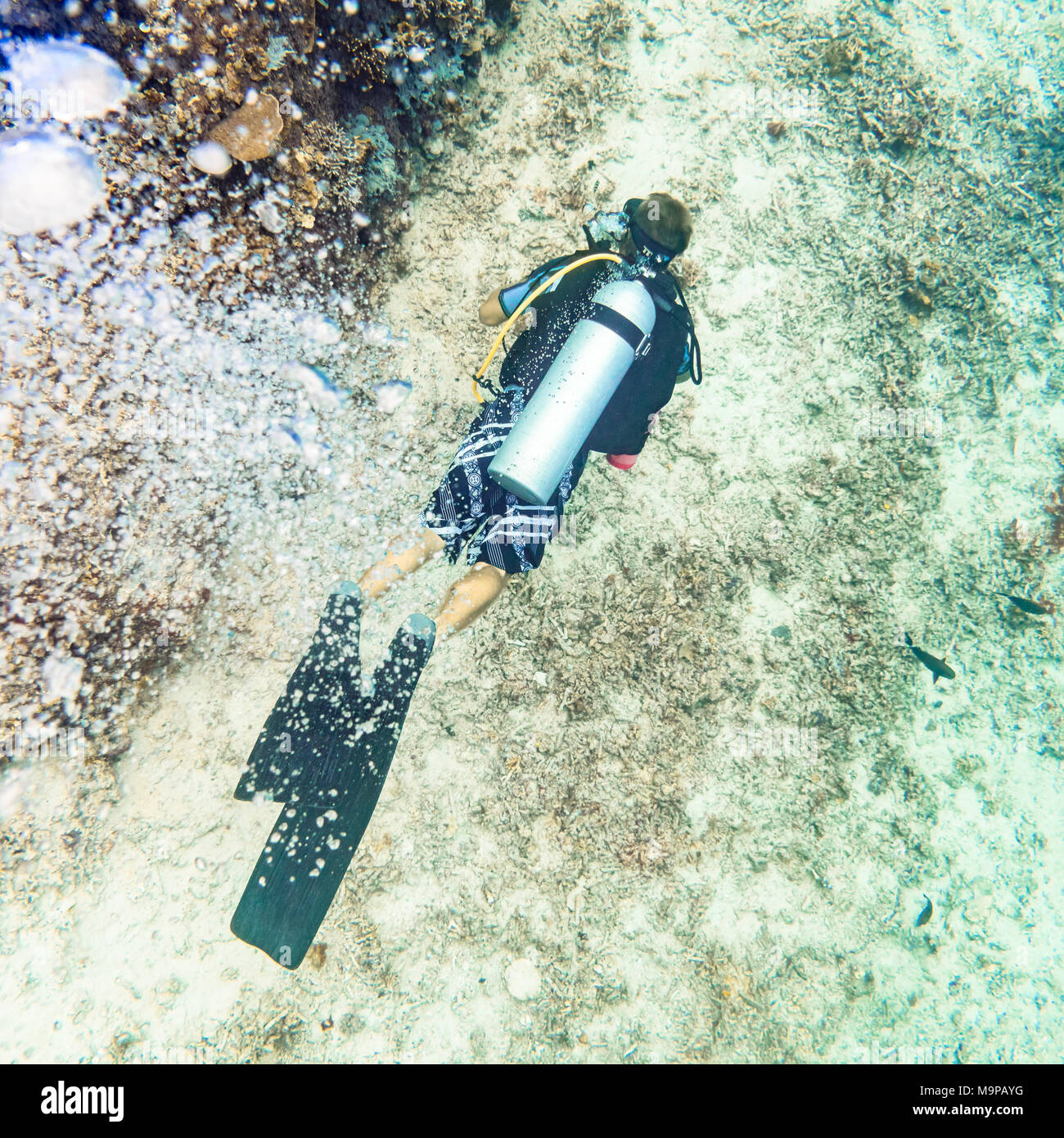 Luftblasen, die sich aus Taucher an Korallenriff unter Wasser Stockfoto