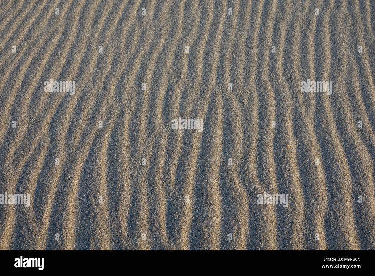 Wellen im Sand, Sand Struktur, Wellenmuster, Sylt, Nordfriesland, Schleswig-Holstein, Deutschland, Hintergrundbild Stockfoto