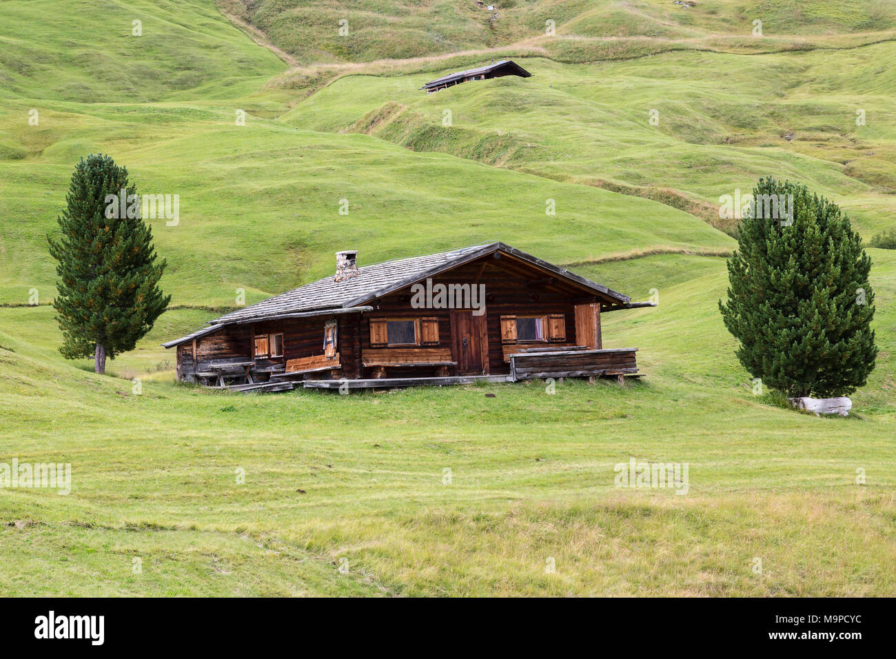 Berghütte zwischen alpine Wiesen, Südtiroler Alpen, Dolomiten, Südtirol Stockfoto