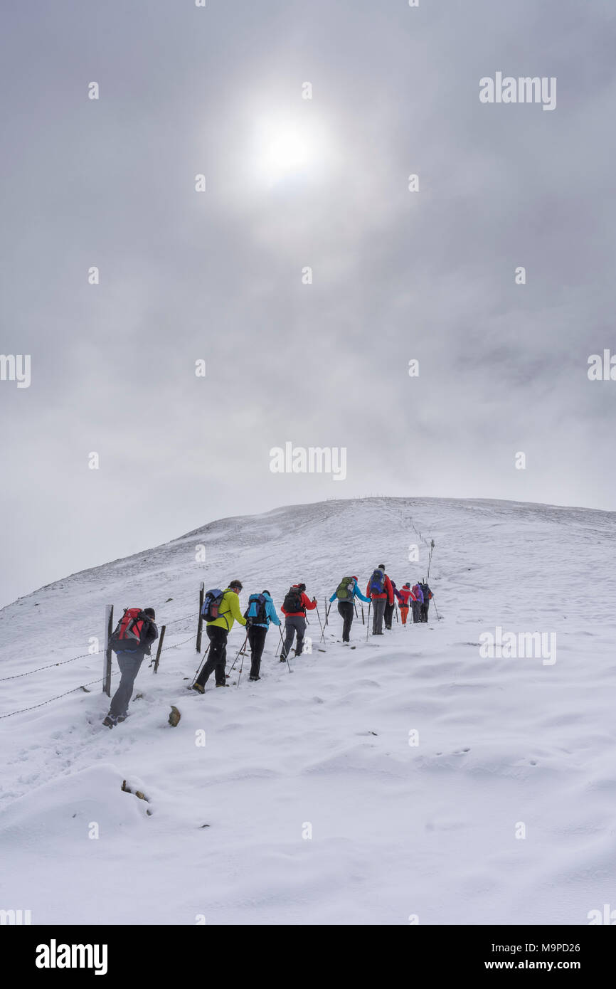 Wandern Gruppe aufsteigend zu den kleinen Königstuhl bei Schneefall, Ramingstein, Salzburg, Österreich Stockfoto