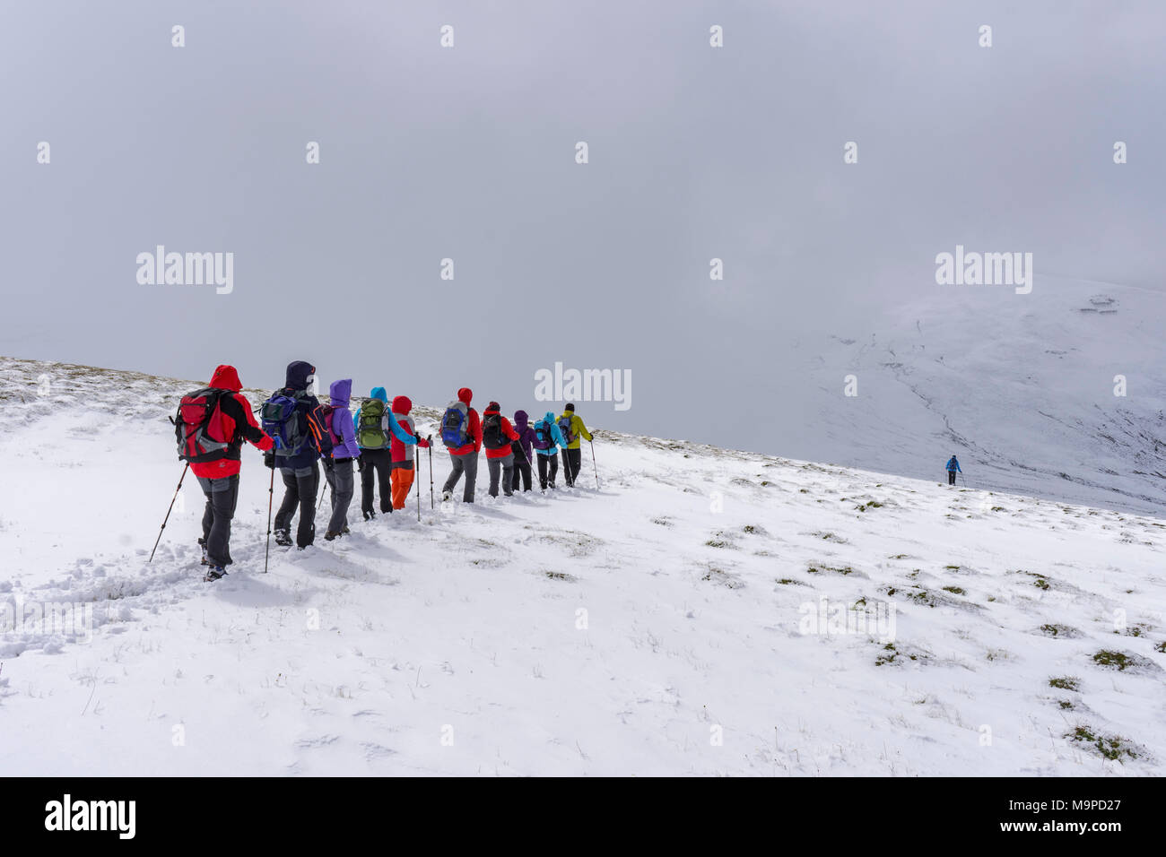 Wandern Gruppe bei der Abstieg der Königsstuhl, Ramingstein, Salzburg, Österreich Stockfoto