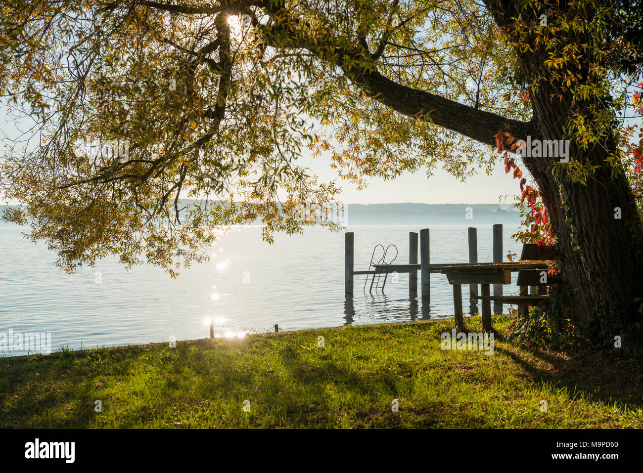 Brücke mit Leiter in den See, der Bodensee im Herbst, Uhldingen-Mühlhofen, Baden-Württemberg, Deutschland Stockfoto