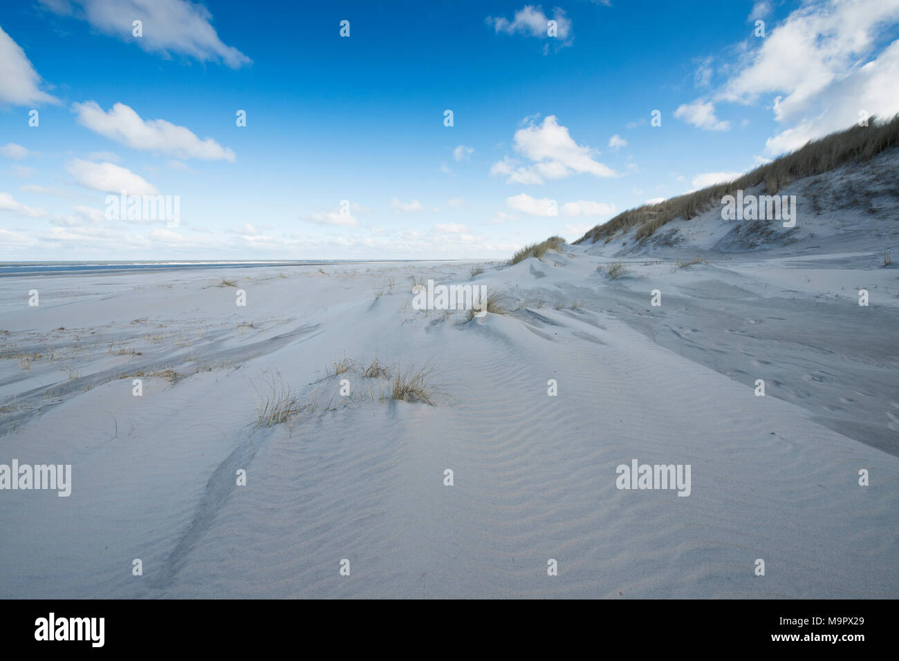 Weißen Dünen, Strand und Nordsee, Langeoog, Ostfriesland, Niedersachsen, Deutschland Stockfoto