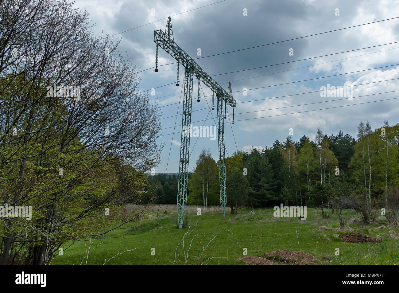 Frühling Wald mit Glade und Electric power transmission Line, Plana Berg, Bulgarien Stockfoto