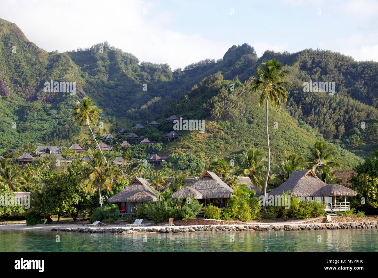 Bungalows am Meer mit Palmen vor grünen Hügeln, Luxus Hotel, Interconti Resort Moorea, Gesellschaftsinseln Stockfoto
