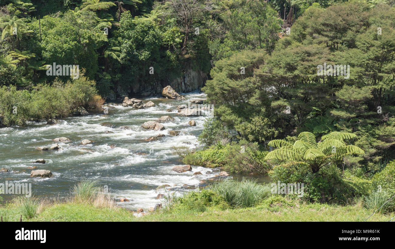 Ohinemuri Fluss durch die Karangahake Gorge in Neuseeland fließende Stockfoto