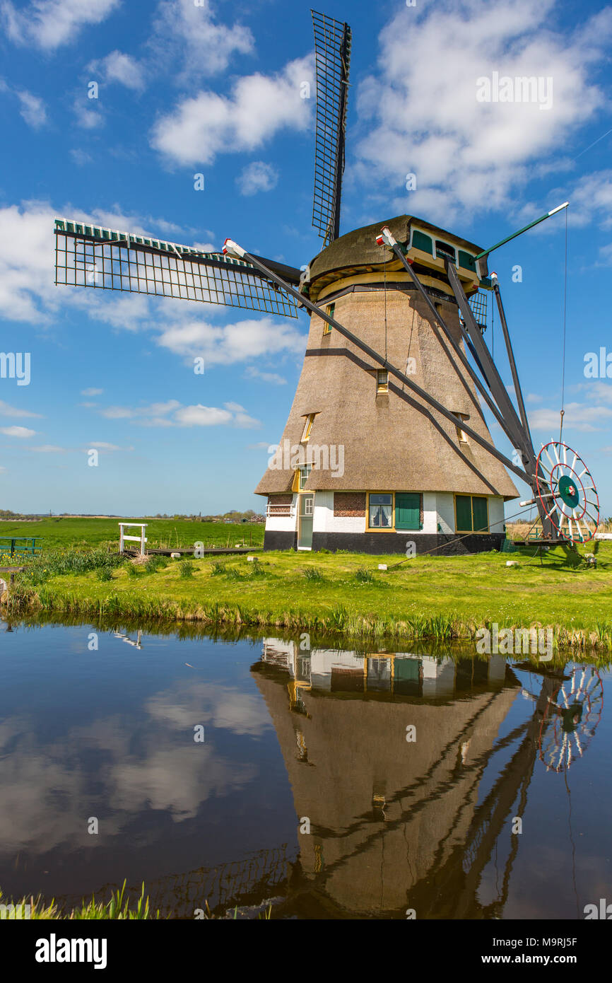 Eine historische Windmühle mit Reflexion auf dem Wasser in den grünen Feldern und einem blauen bewölkten Himmel von rijpwetering in den Niederlanden. Stockfoto