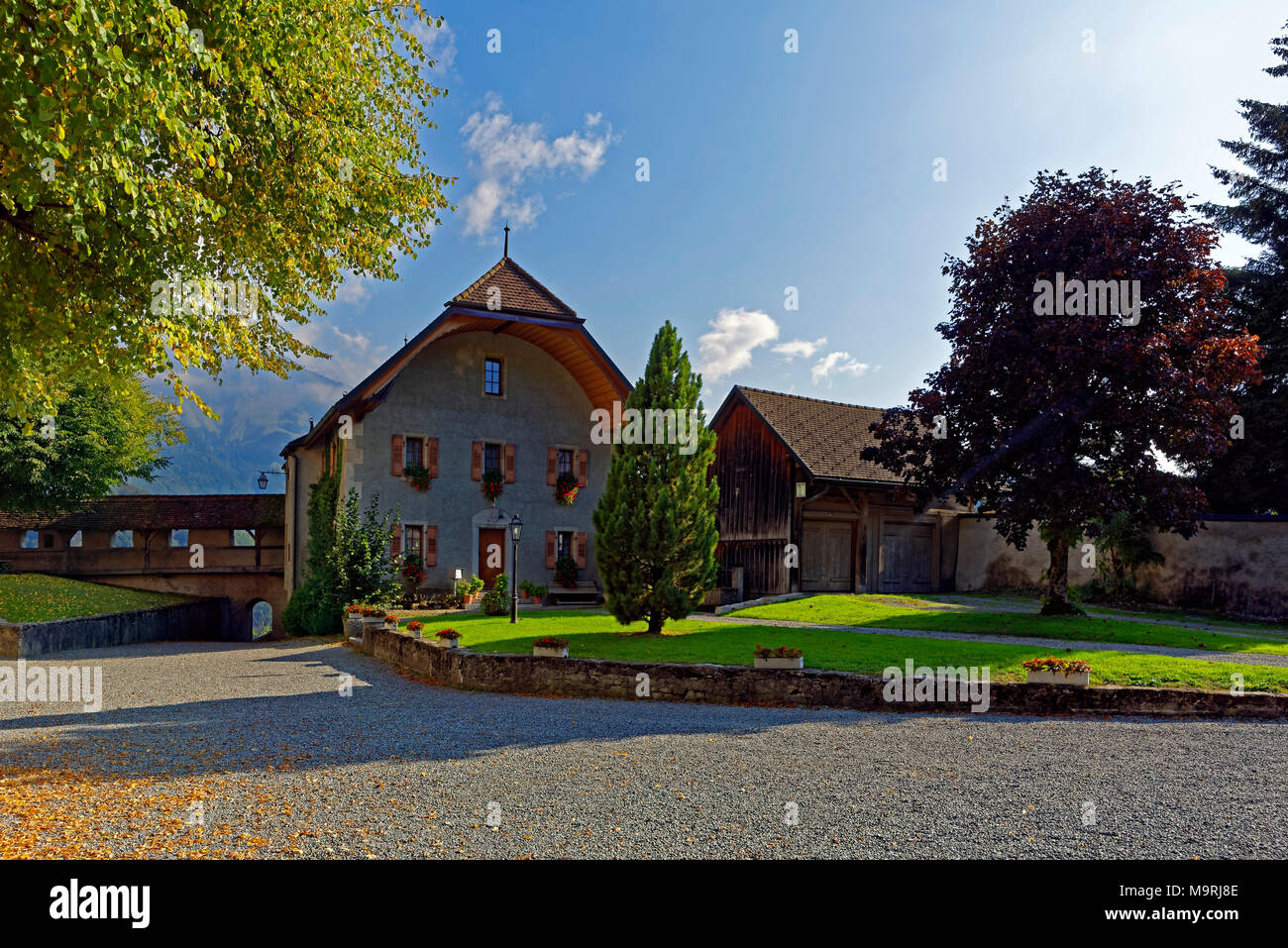 Europa, Schweiz, Freiburg, Greyerzer Käse, Rue de l'Eglise, Haus, typisch, Architektur, Bäume, Gebäude, historisch, Sehenswürdigkeit, Tou Stockfoto