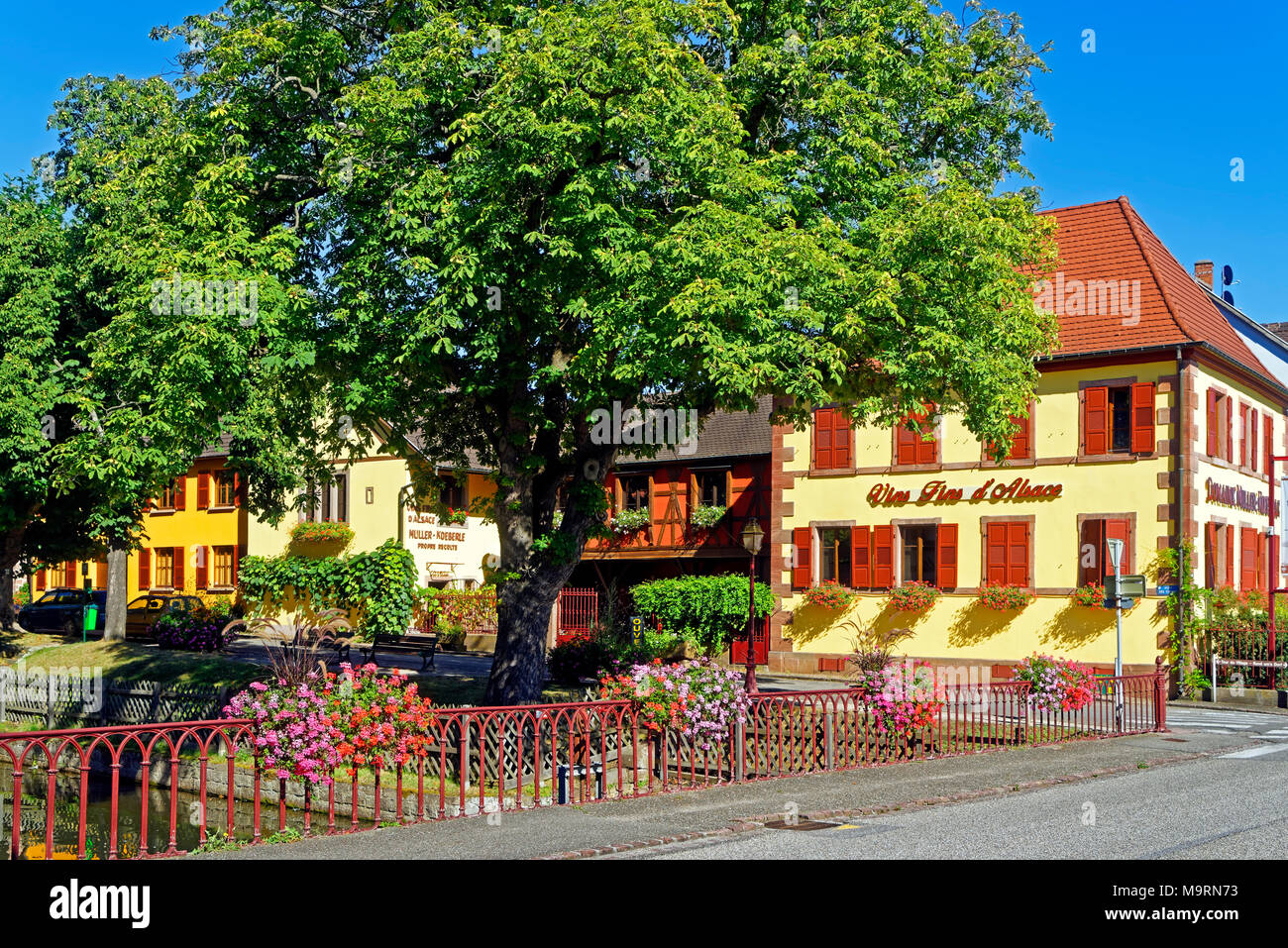 Europa, Frankreich, Alsace-Champagne - Ardenne-Lorraine, Saint-Hippolyte, route du Vin, Weinberg, Blumen, Gebäude, historisch, Sehenswürdigkeit, Tour Stockfoto