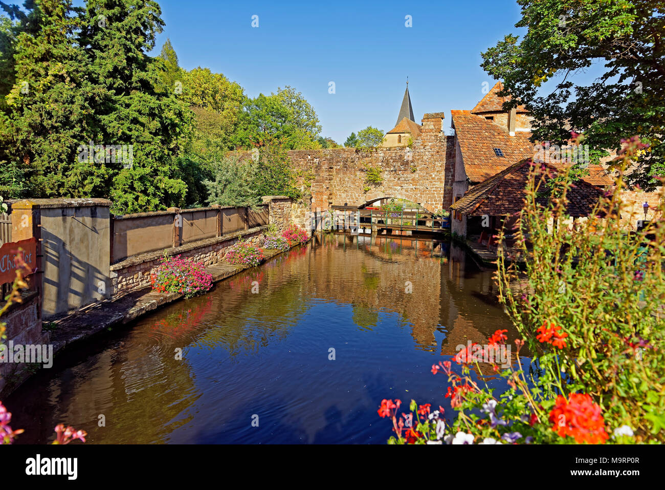 Europa, Frankreich, Rhein, Bas (Elsass), das Weiße Schloss, Wissembourg, Faubourg de Bitche, Stadtmauer, historisch, Fluss, nichts aber, Blumen, Dekoration Stockfoto