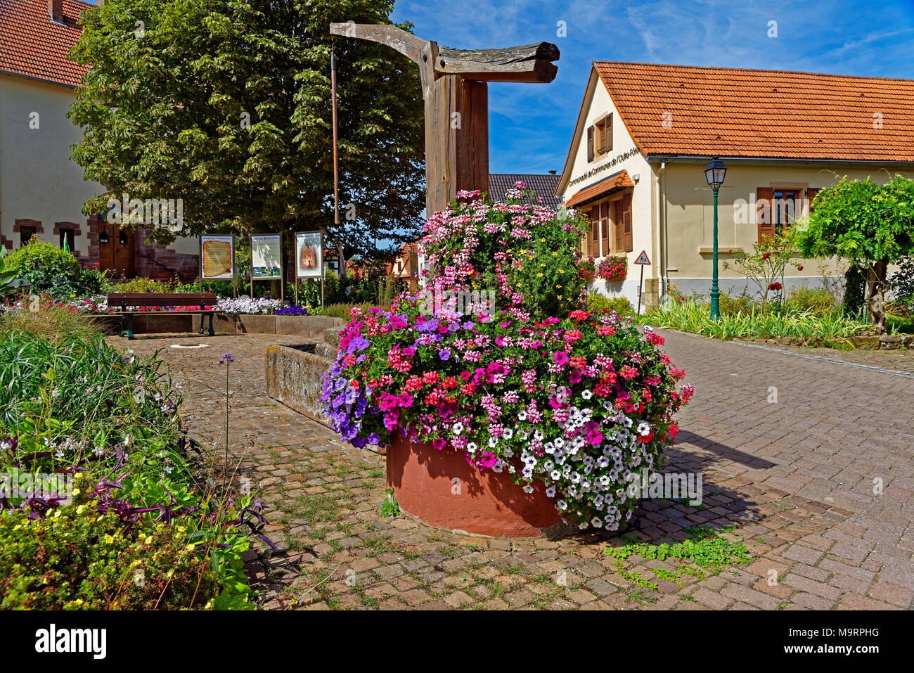 Europa, Frankreich, Rhein, Bas (Elsass), Soultz-sous-Forêts, Rue Principale Hohwiller, Gebäude, gut, Blumen, Pflanzen, Blumen, Dekorationen, detail, Stockfoto