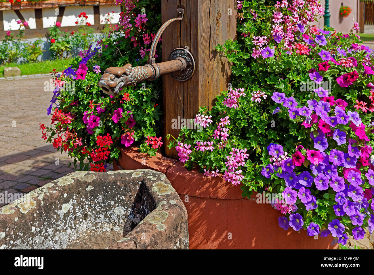 Europa, Frankreich, Rhein, Bas (Elsass), Soultz-sous-Forêts, Rue Principale Hohwiller, gut, Blumen, historisch, Pflanzen, Blumen, Dekorationen, deta Stockfoto