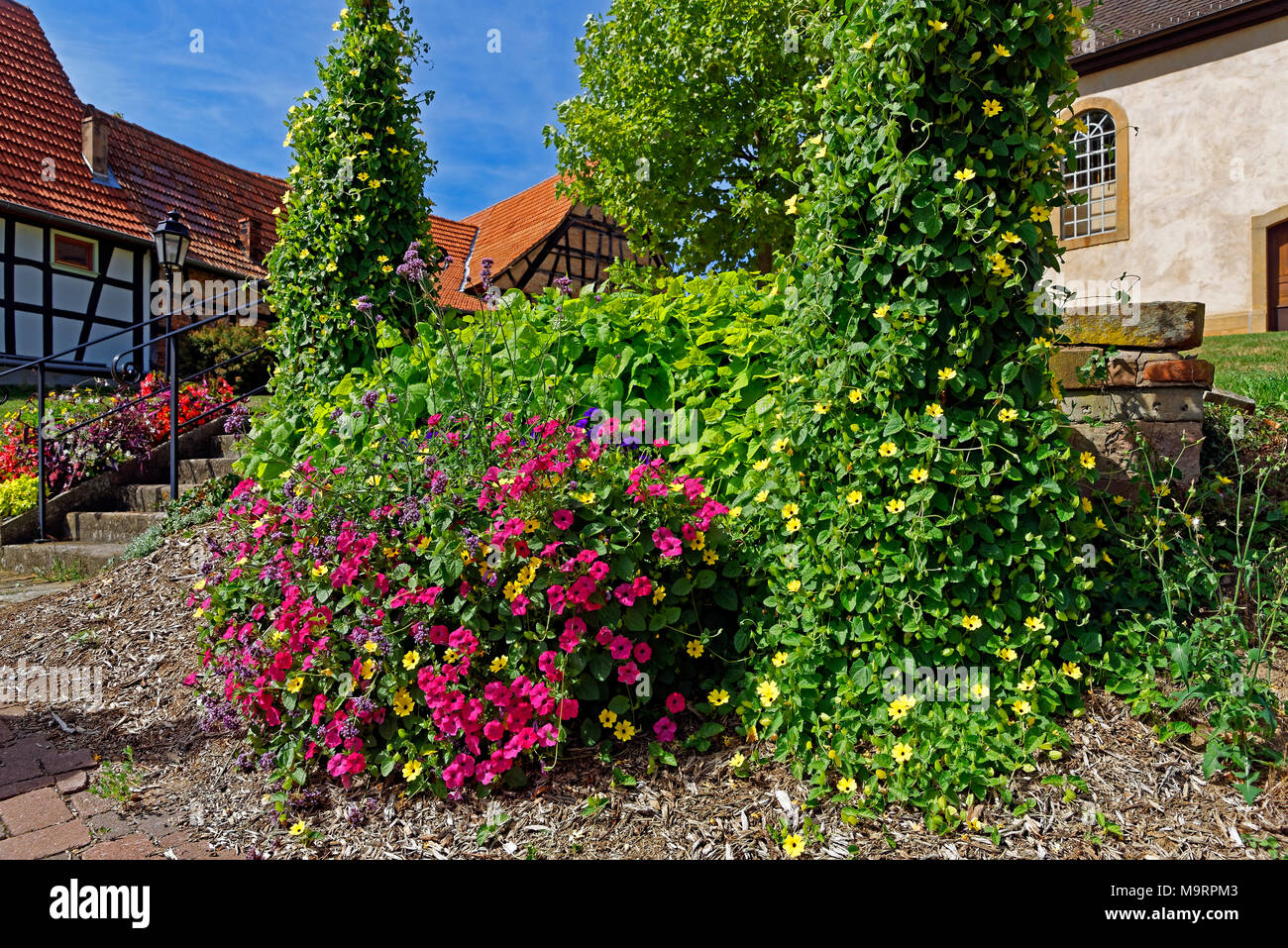 Europa, Frankreich, Rhein, Bas (Elsass), Soultz-sous-Forêts, Rue Principale Hohwiller, Kirchgarten, Kirche, Eglise, Saint Jean-Baptiste, Architektur, Stockfoto
