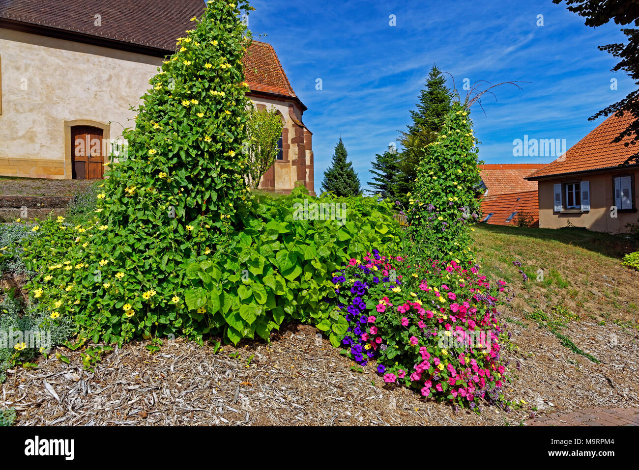 Europa, Frankreich, Rhein, Bas (Elsass), Soultz-sous-Forêts, Rue Principale Hohwiller, Kirchgarten, Kirche, Eglise, Saint Jean-Baptiste, Architektur, Stockfoto