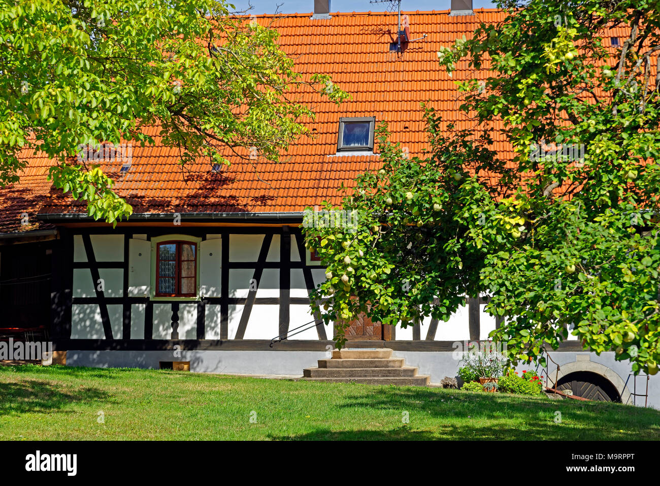 Europa, Frankreich, Rhein, Bas (Elsass), Soultz-sous-Forêts, Rue Principale Hohwiller, Bauernhof, Detail, Architektur, Bäume, Gebäude, Pflanzen, Ort der Stockfoto