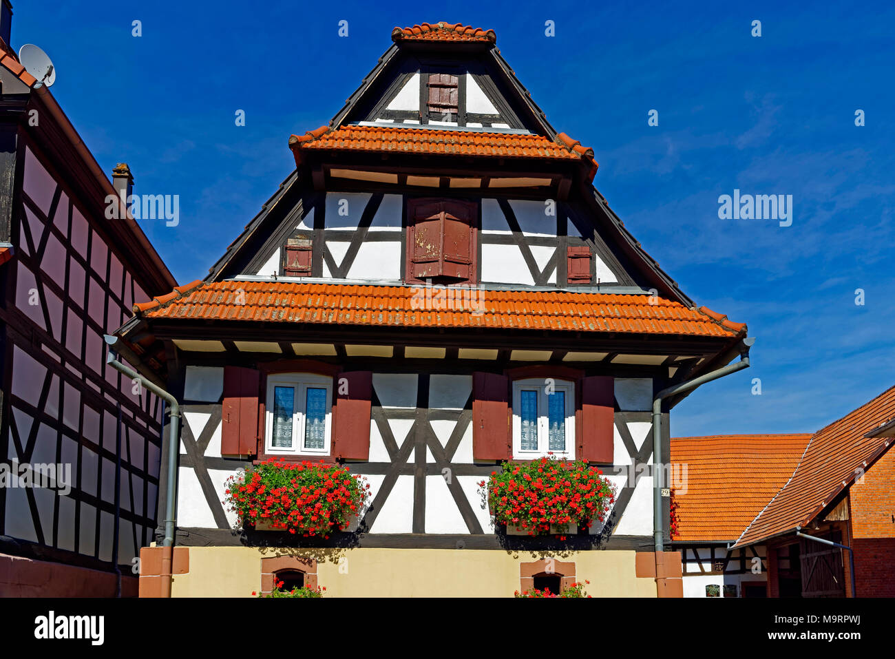 Europa, Frankreich, Rhein, Bas (Elsass), Soultz-sous-Forêts, Rue Principale Hohwiller, Fachwerkhaus, Pflanzen, Blumen, Gebäude, Architektur, Stockfoto