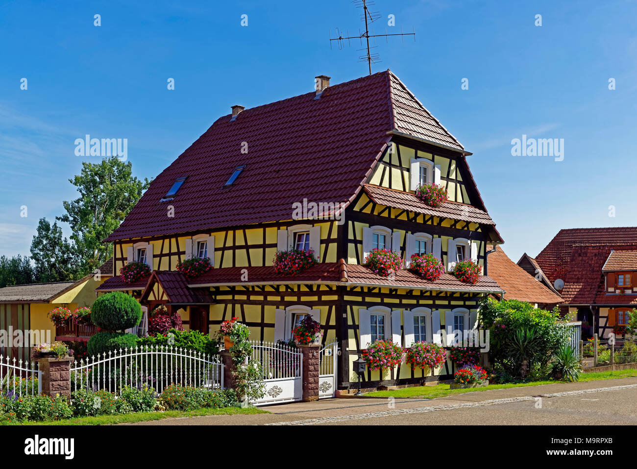 Europa, Frankreich, Rhein, Bas (Elsass), Soultz-sous-Forêts, Rue Principale Hohwiller, Fachwerkhaus, Pflanzen, Blumen, Gebäude, Architektur, Stockfoto