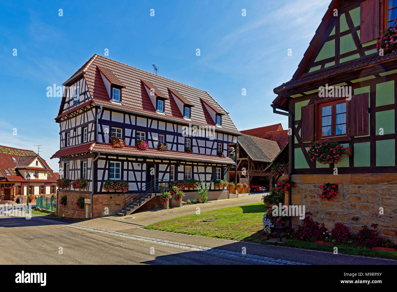 Europa, Frankreich, Rhein, Bas (Elsass), Soultz-sous-Forêts, Rue Principale Hohwiller, street view, Fachwerkhäuser, Pflanzen, Blumen, historicall Stockfoto