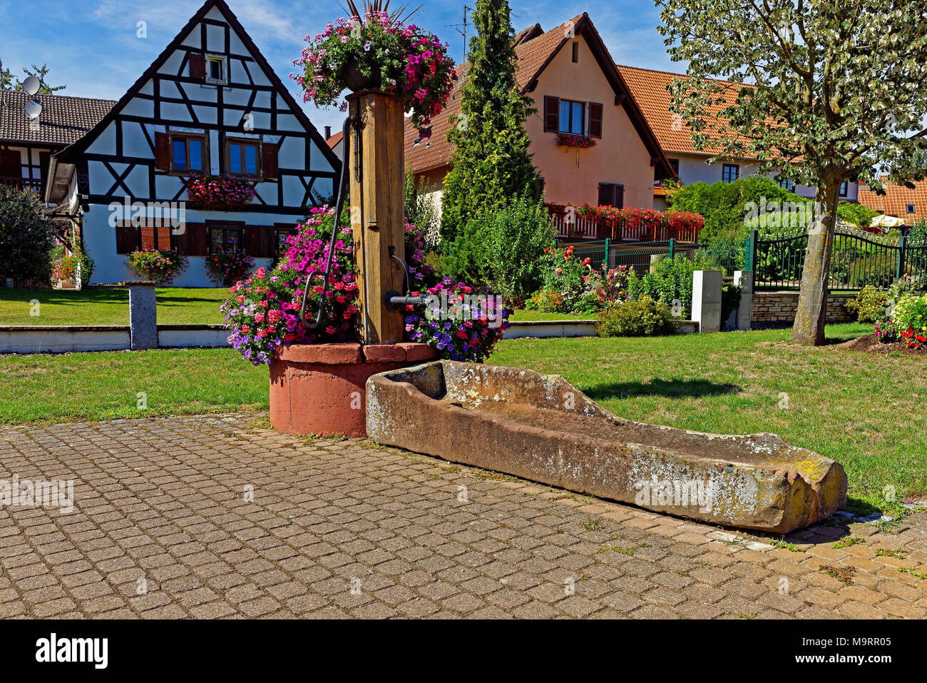 Europa, Frankreich, Rhein, Bas (Elsass), Soultz-sous-Forêts, Rue Principale Hohwiller, gut, Pflanzen, Blumen, Gebäude, Architektur, Ort der intere Stockfoto