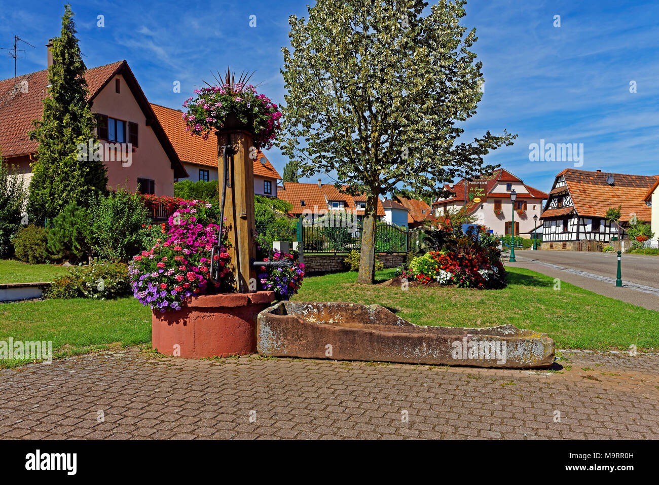 Europa, Frankreich, Rhein, Bas (Elsass), Soultz-sous-Forêts, Rue Principale Hohwiller, gut, Pflanzen, Blumen, Gebäude, Architektur, Ort der intere Stockfoto