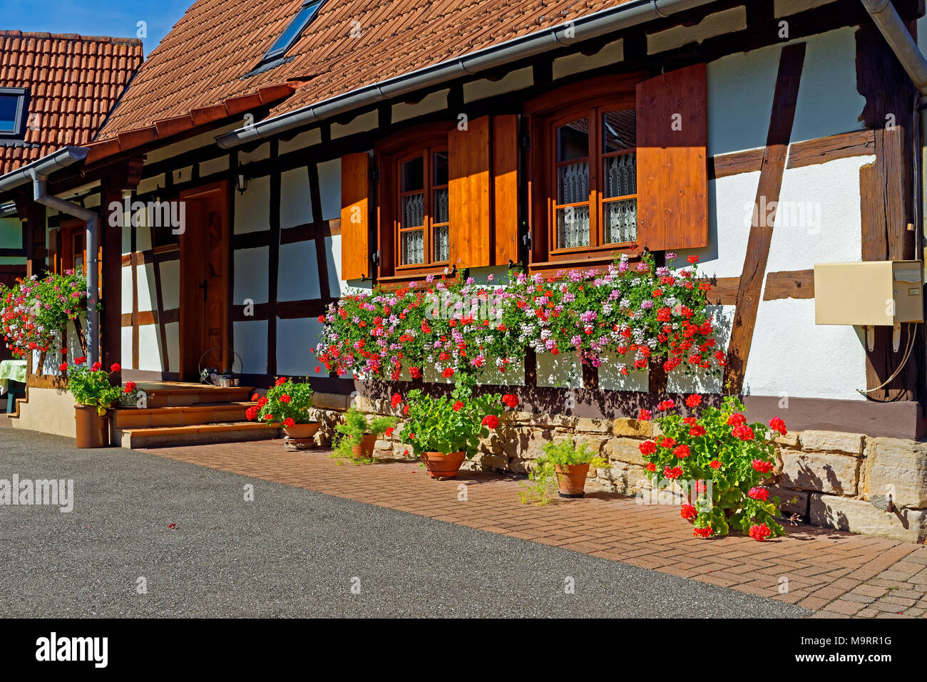 Europa, Frankreich, Rhein, Bas (Elsass), Soultz-sous-Forêts, Rue Principale Hohwiller, Fachwerkhaus, Blumen, Dekoration, Pflanzen, Blumen, buil Stockfoto