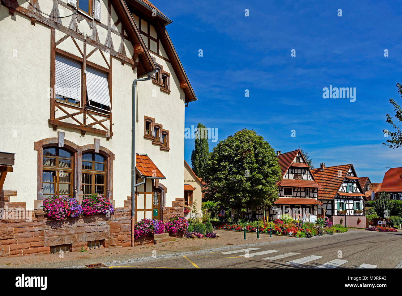 Europa, Frankreich, Rhein, Bas (Elsass), Soultz-sous-Forêts, Rue Principale Hohwiller, Gebäude, historisch, Lokalen, Architektur, Gebäude, seine Stockfoto
