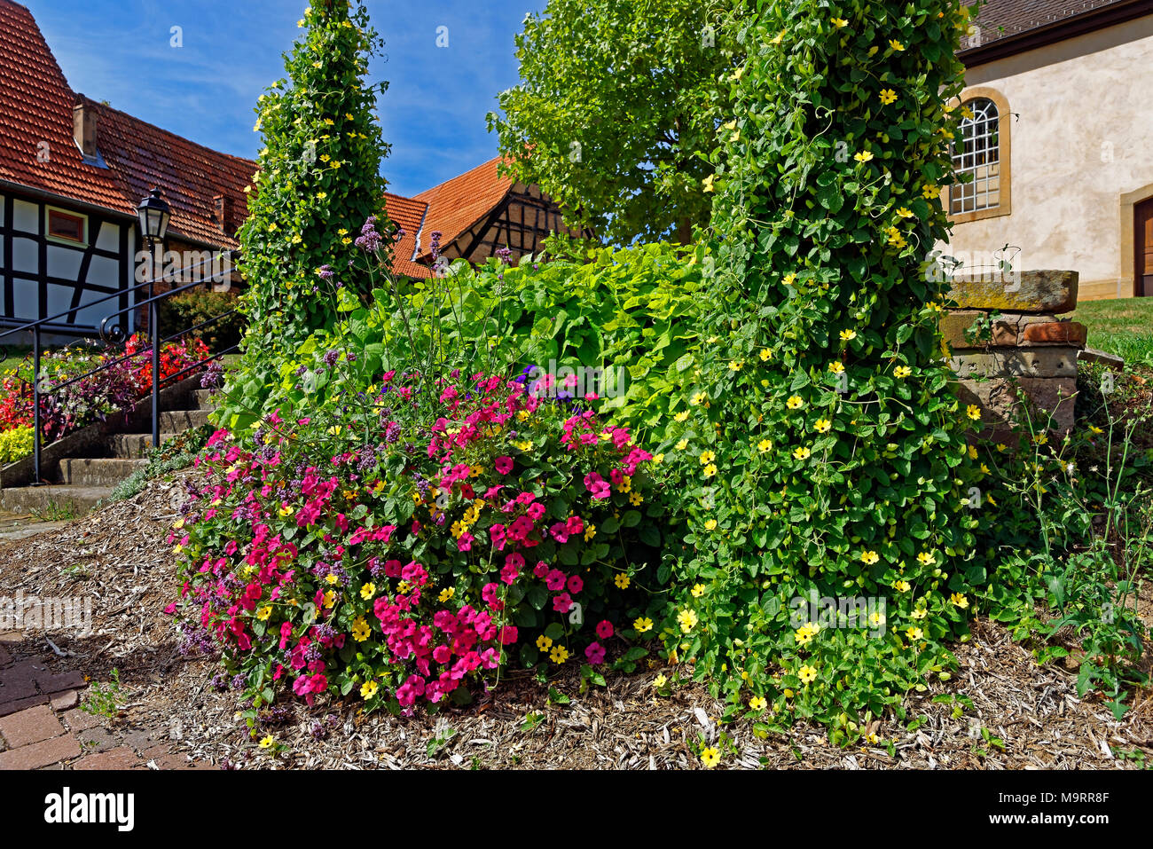 Europa, Frankreich, Rhein, Bas (Elsass), Soultz-sous-Forêts, Rue Principale Hohwiller, Kirchgarten, Kirche, Eglise, Saint Jean-Baptiste, Architektur, Stockfoto