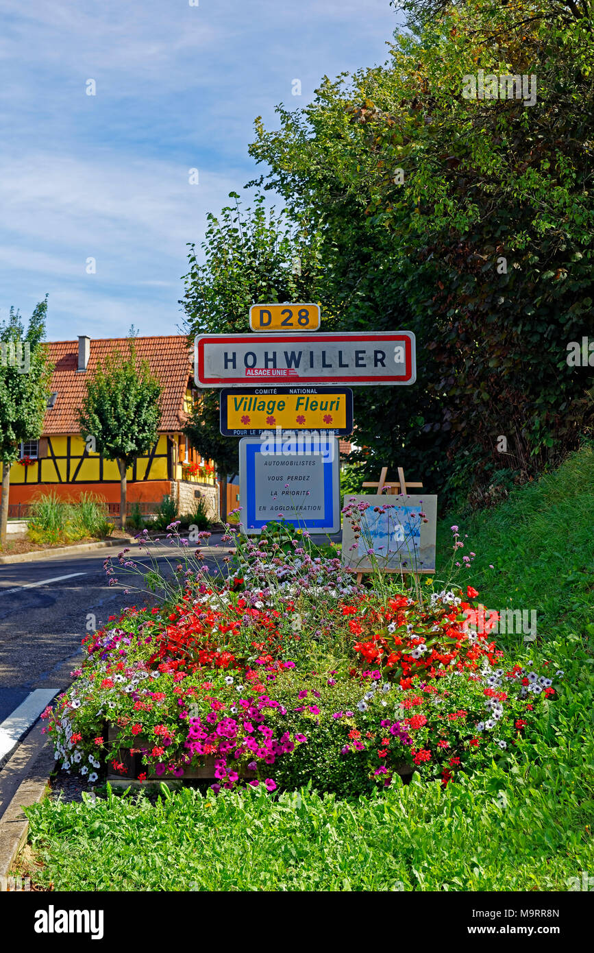 Europa, Frankreich, Rhein, Bas (Elsass), Soultz-sous-Forêts, Rue Principale Hohwiller, Blumenbeet, lokale Zeichen, street view, Pflanzen, Sehenswürdigkeit, Stockfoto