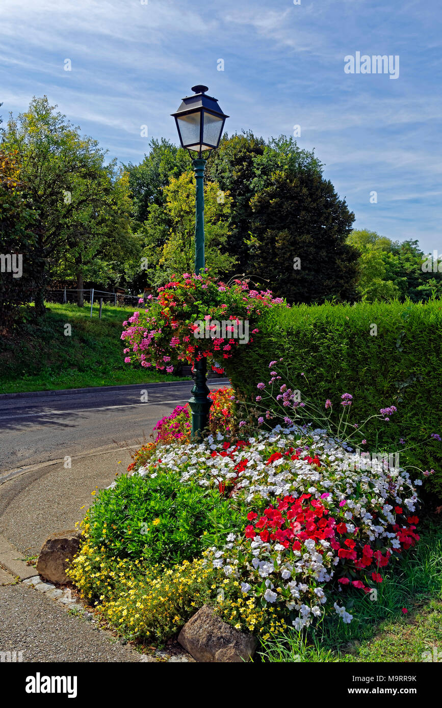Europa, Frankreich, Rhein, Bas (Elsass), Soultz-sous-Forêts, Rue Principale Hohwiller, Blumenbeet, Pflanzen, Sehenswürdigkeit, Tourismus, traditionell, f Stockfoto