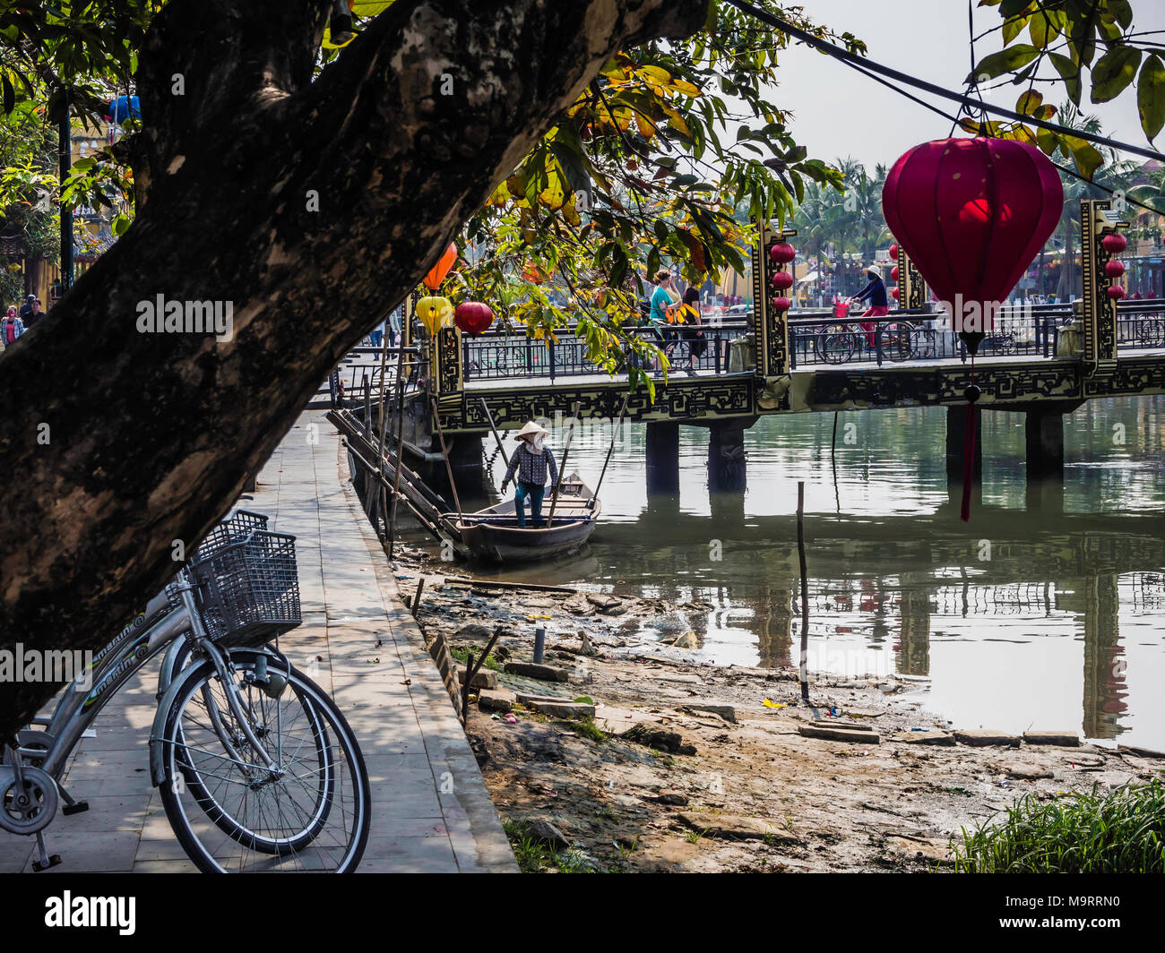 Bunte Laternen hängen in den Bäumen neben Ufer in Hoi An, Vietnam Stockfoto