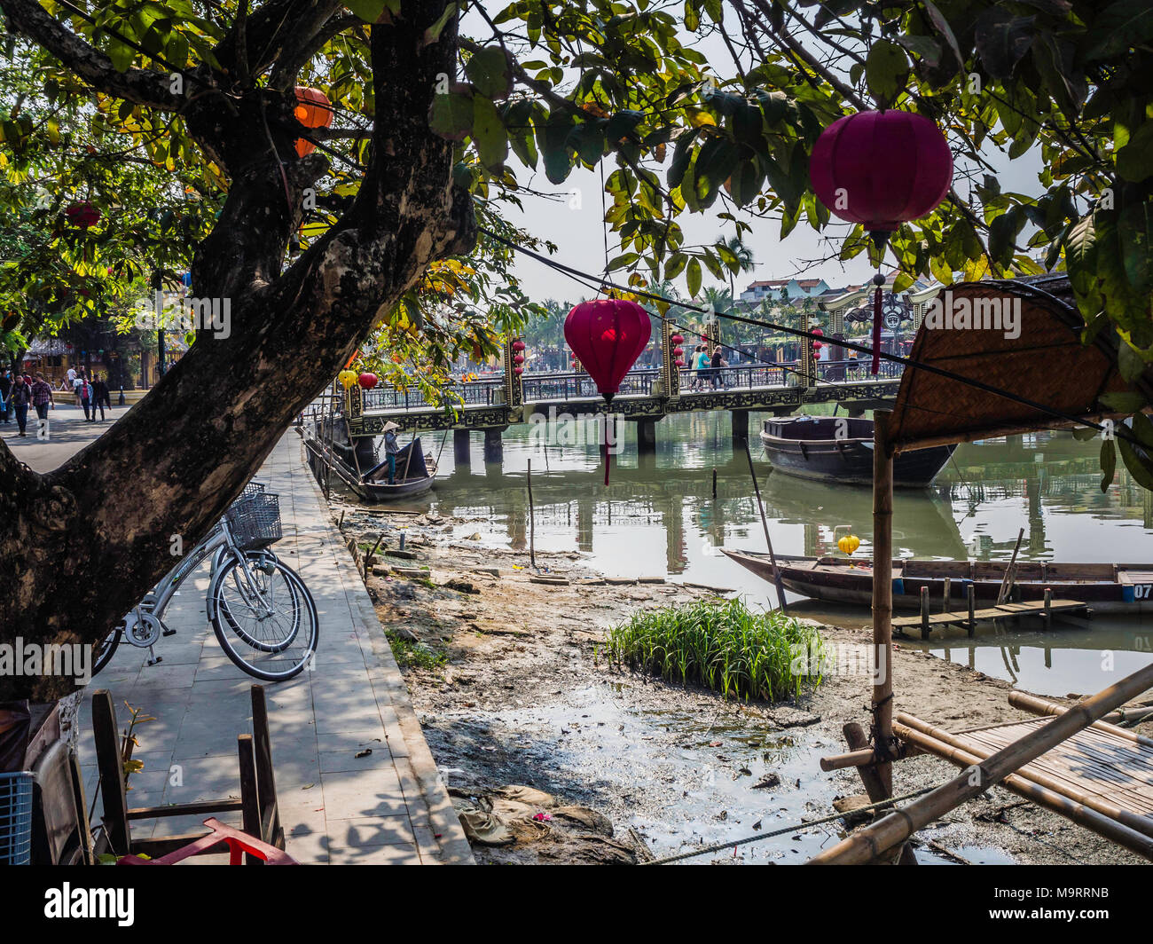 Bunte Laternen hängen in den Bäumen neben Ufer in Hoi An, Vietnam Stockfoto