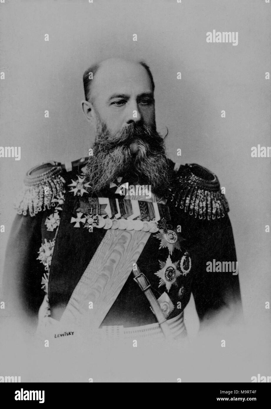 Portrait der Allgemeinen Alexis Grippenberg (1838 - 1916) - Fotografie von Sergej Levitsky (1819 - 1898) Stockfoto