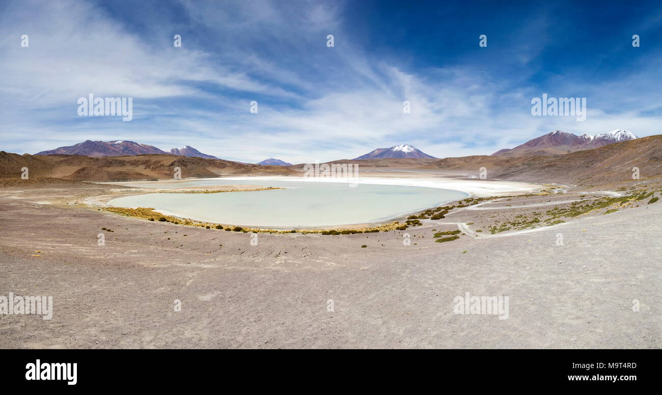 Laguna Hedionda an Anden Altiplano in Bolivien Stockfoto