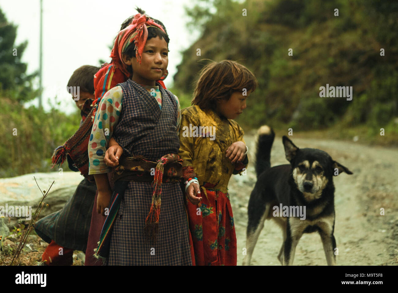 Einheimischer Kinder mit Hund gesehen. Die Tamangs sind eine Gruppe von Menschen aus ethnischen Minderheiten vor allem leben in Nepal. Die Bevölkerung wird auf rund 1,5 Millionen im Jahr 2016 geschätzt. Stockfoto