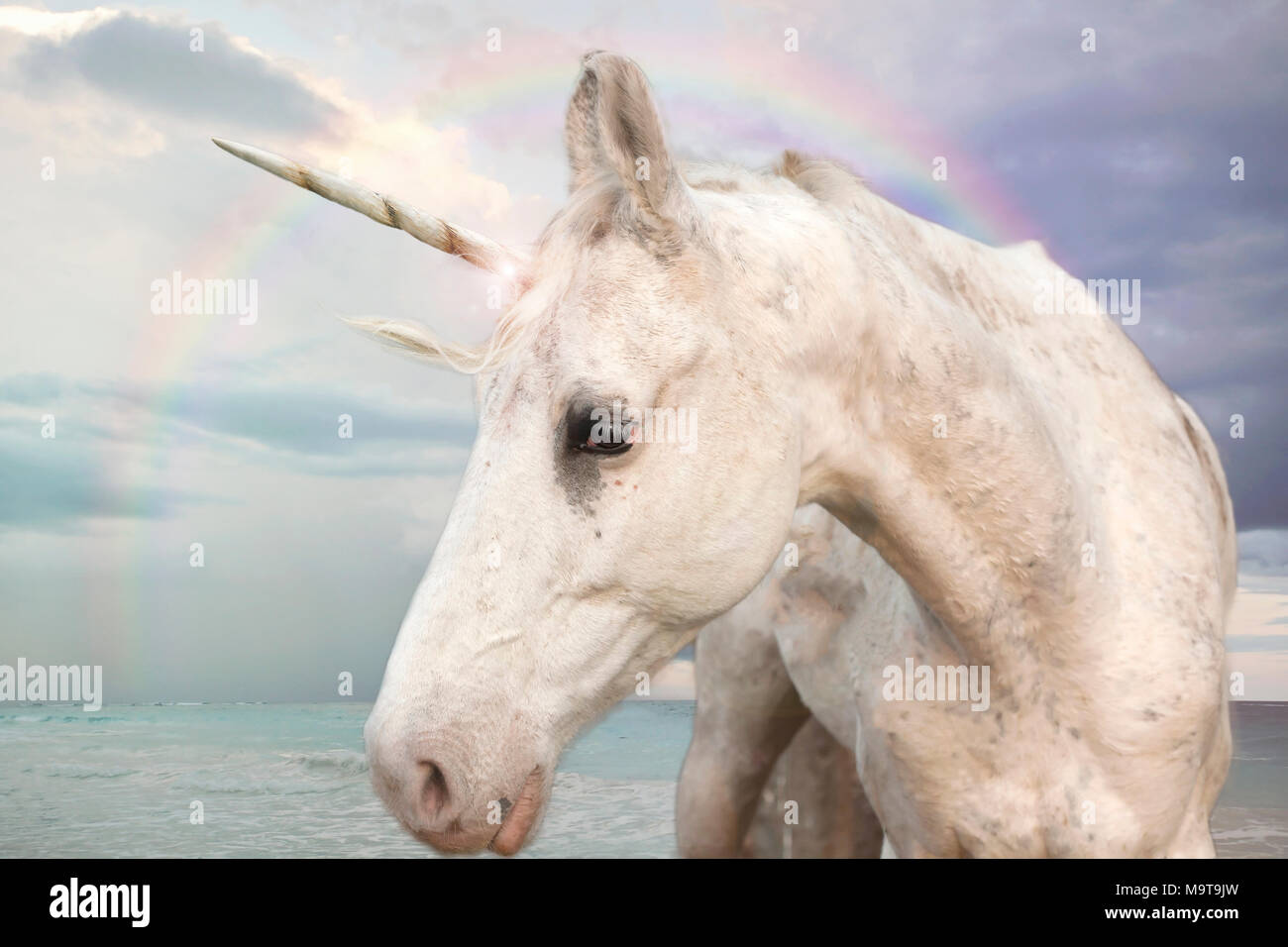 Fotorealistische Einhorn zu Fuß durch den Ozean mit Regenbogen Himmel Stockfoto