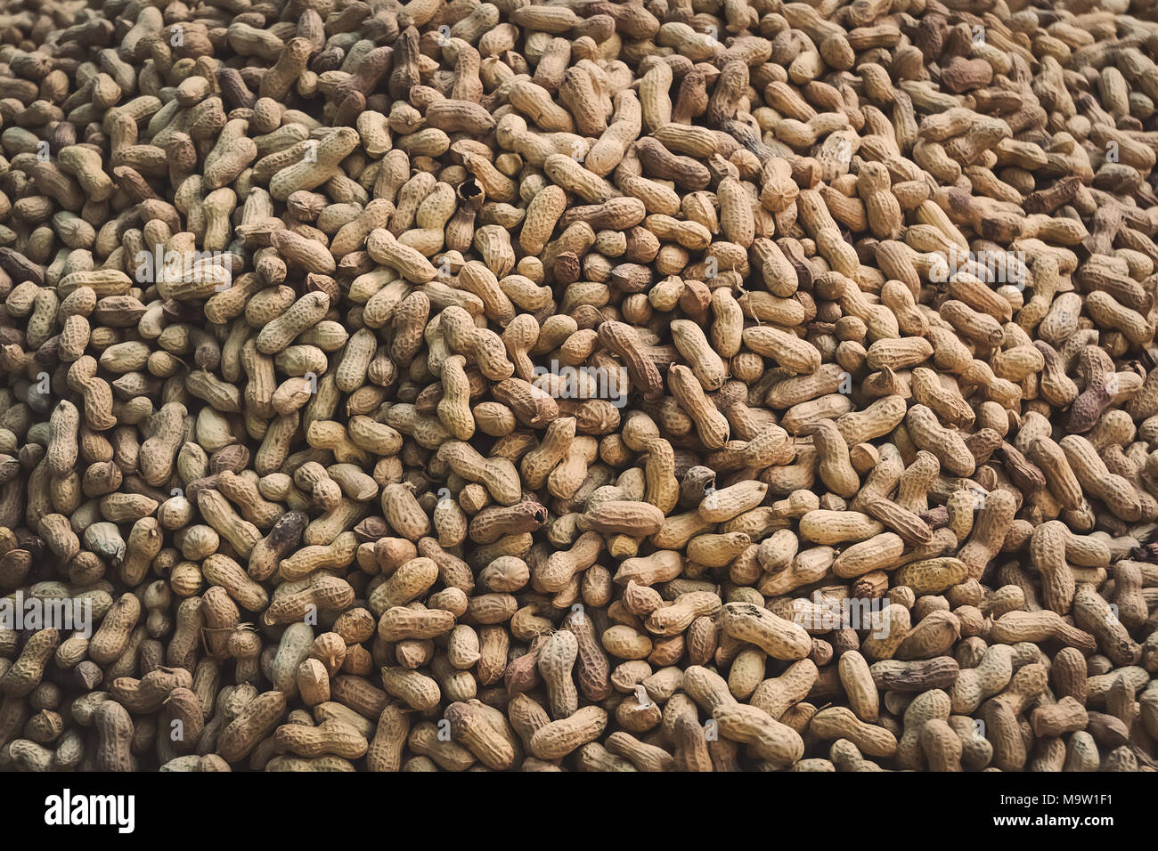 Ein paar Erdnüsse als Hintergrund. Geröstete Erdnüsse in der Schale. Stockfoto