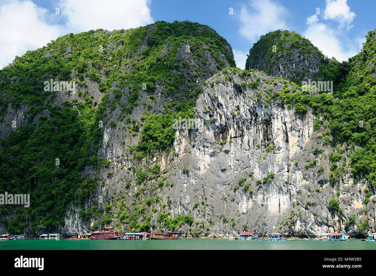 Vietnam - Rock Island in der Halong Bay National Park (UNESCO). Die schönsten und bekanntesten touristischen Destination von Vietnam Stockfoto