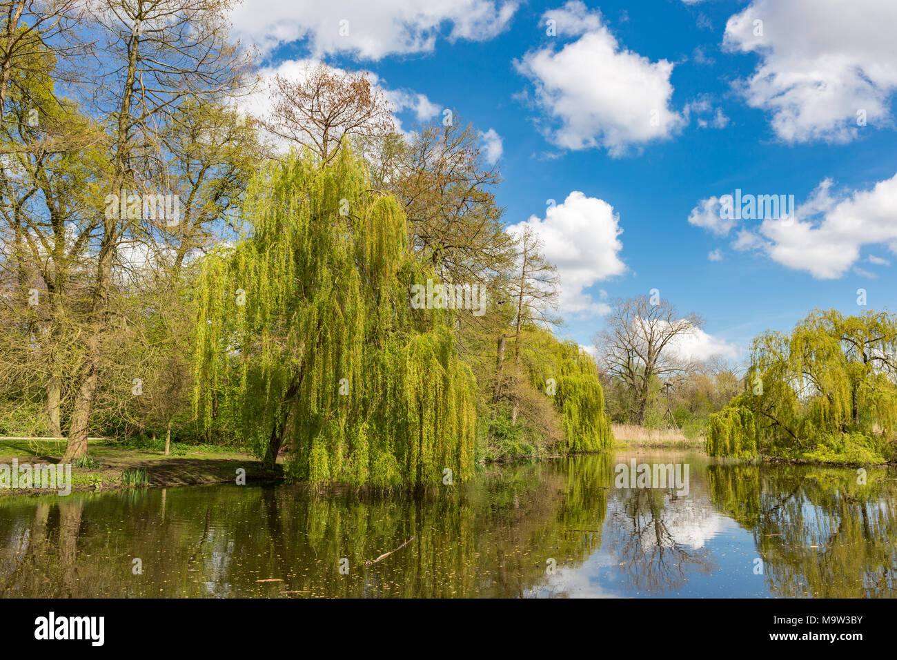 Ein Teich im Amsterdam Vondelpark in den Niederlanden. Stockfoto