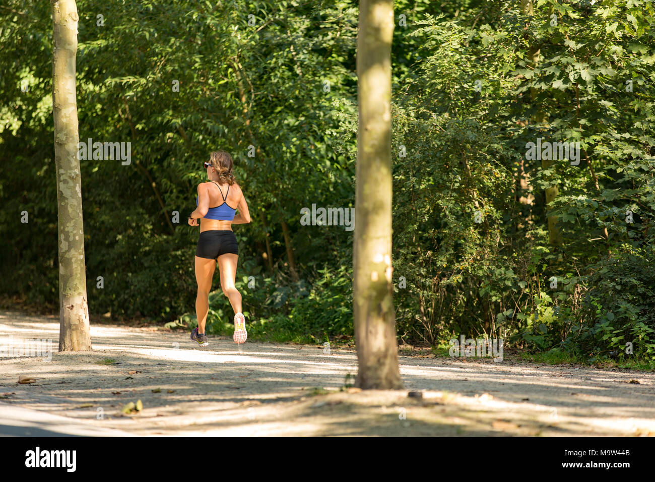 Frau, die in einem sonnigen Amsterdam Vondelpark in den Niederlanden. Stockfoto