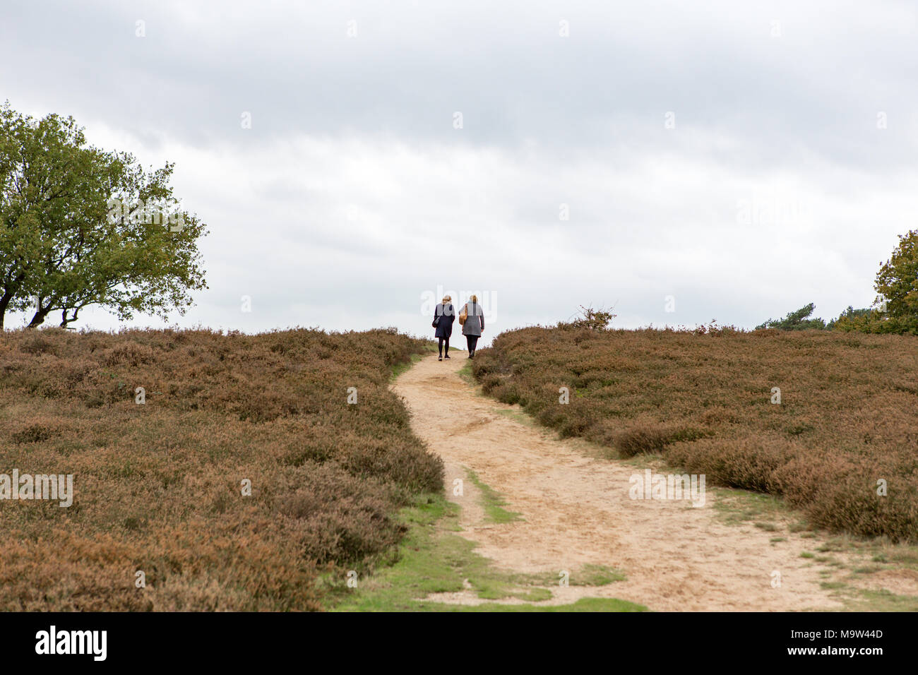 2 Frauen gehen bis al Hill auf einem sandigen Pfad am Blaricum Heide in den Niederlanden. Stockfoto