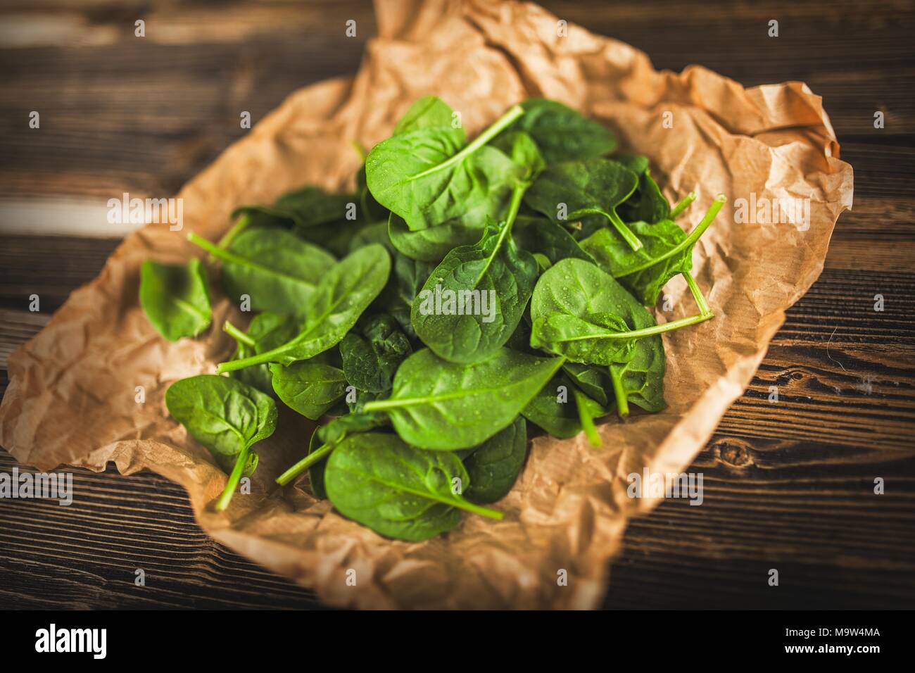 Baby-Blattspinat Stockfoto