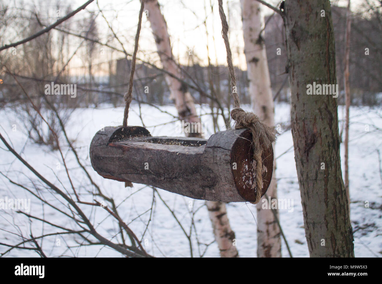 Holz- Futtertrog für Vögel hängen auf der Filialen in einer Stadt Park im Winter Stockfoto